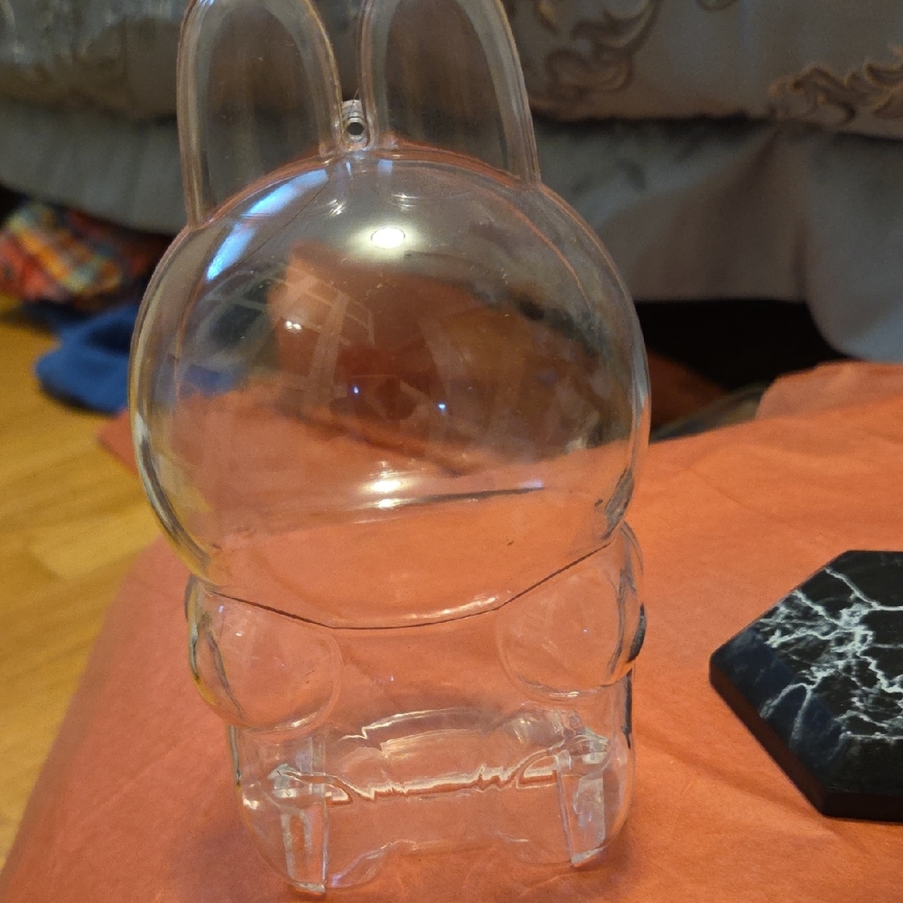 Clear Labubu Case